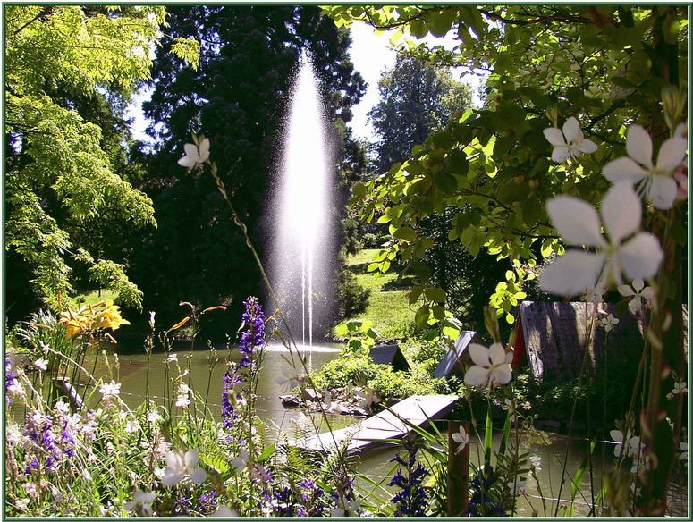 kleiner Teich im Kurpark in Badenweiler