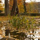 Kleiner Teich im Park