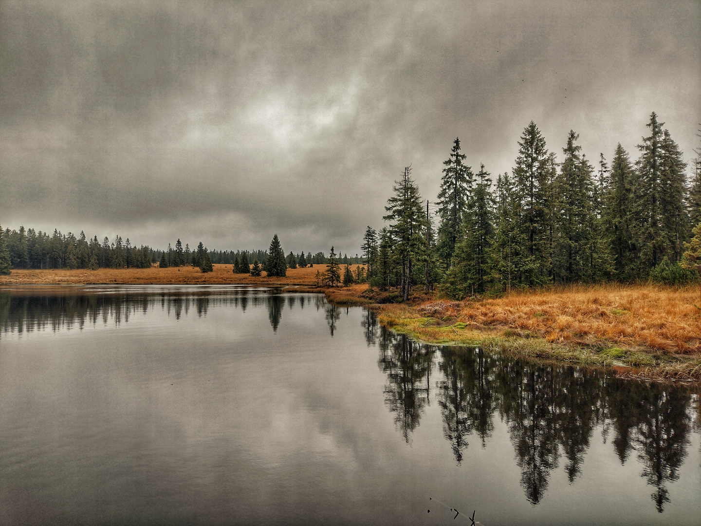 Kleiner Teich im Wald 