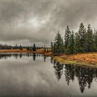 Kleiner Teich im Wald 