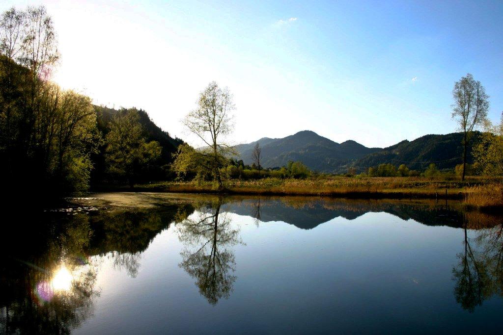 Kleiner Teich nahe Thalheim bei Pöls Steiermark Foto & Bild