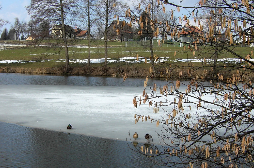 Kleiner Teich.02