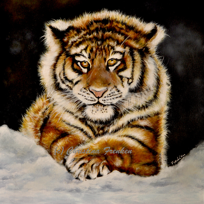 Kleiner Tiger im Schnee