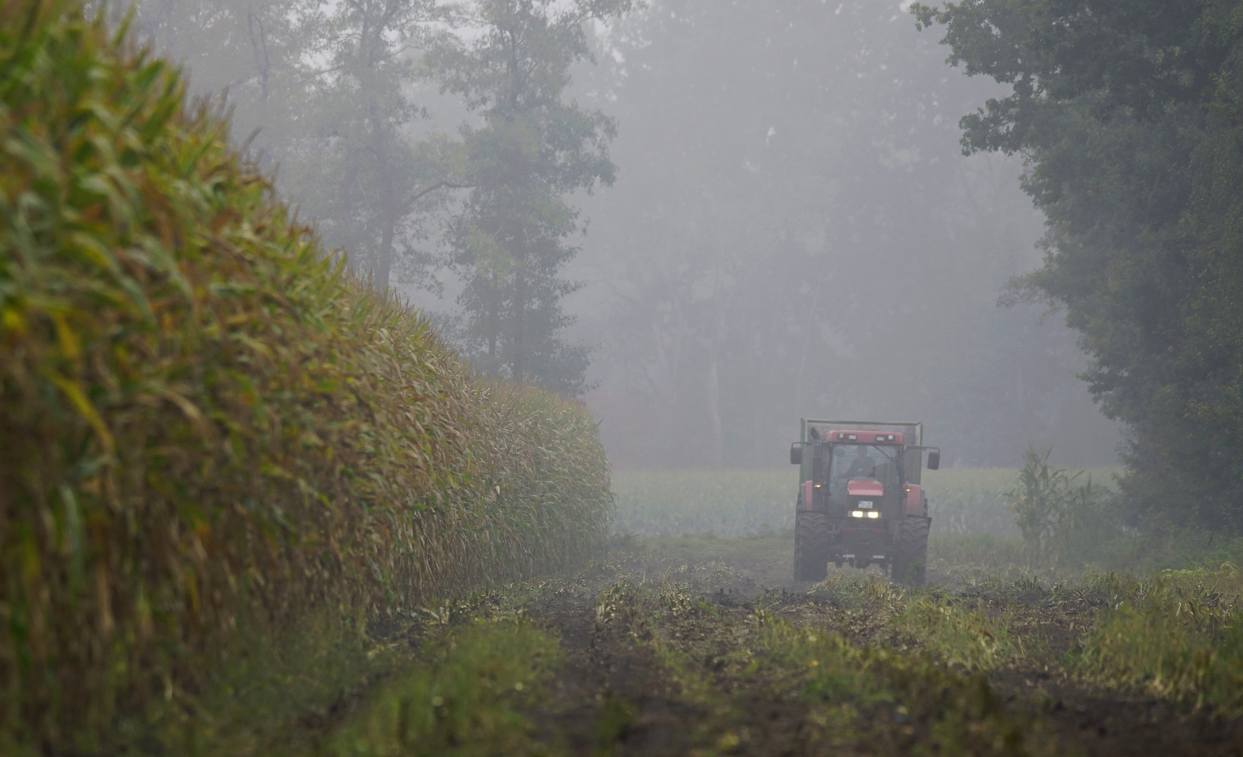 Kleiner Traktor.