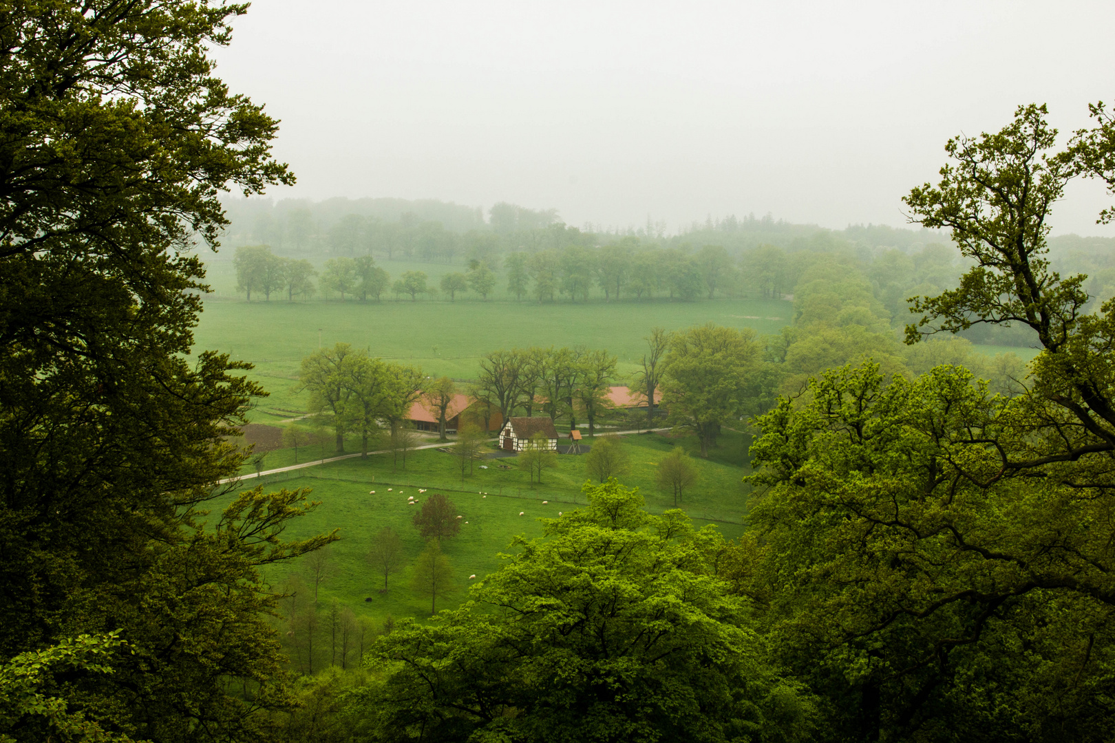 kleiner Traum