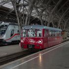 Kleiner Triebwagen in großem Bahnhof