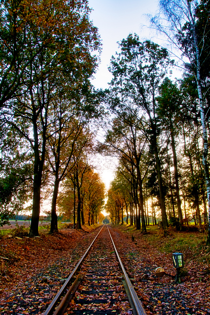 Kleiner Tunnelblick