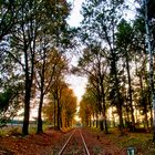 Kleiner Tunnelblick