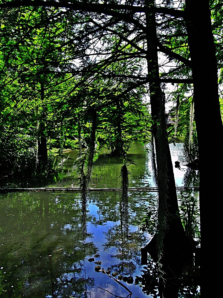 Kleiner Urwald