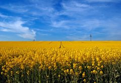 kleiner vorgeschmack auf den sommer