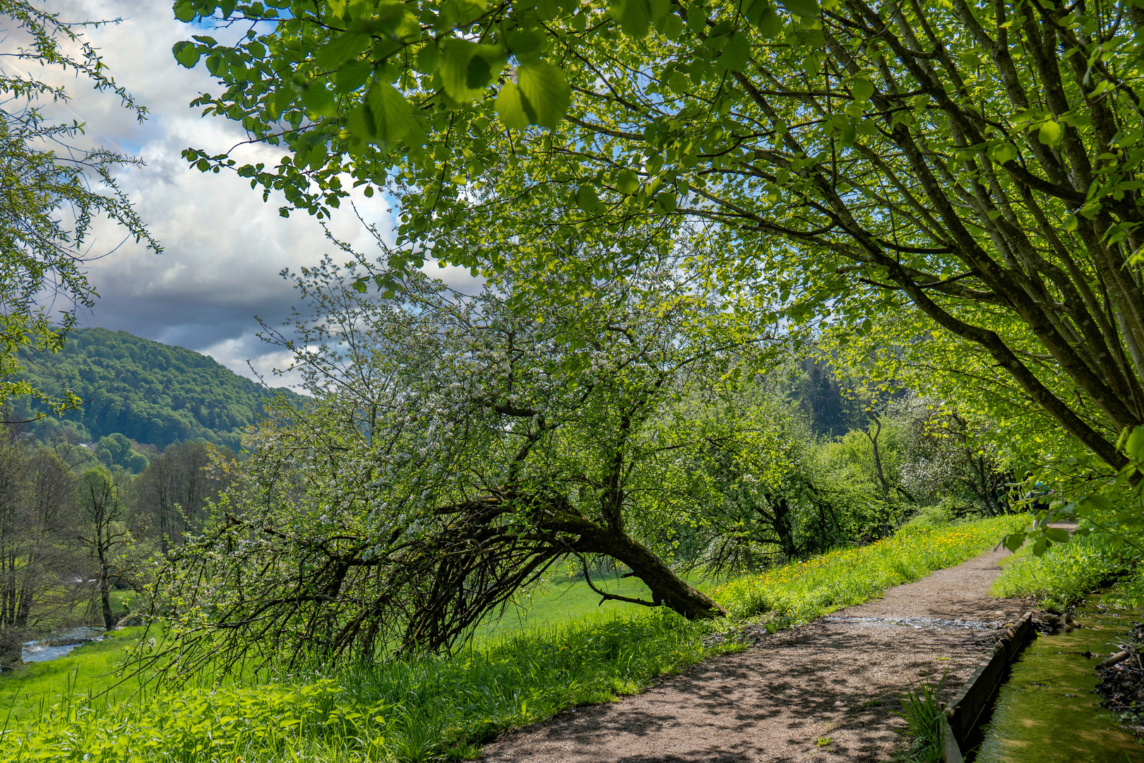 Kleiner Waalweg in Franken