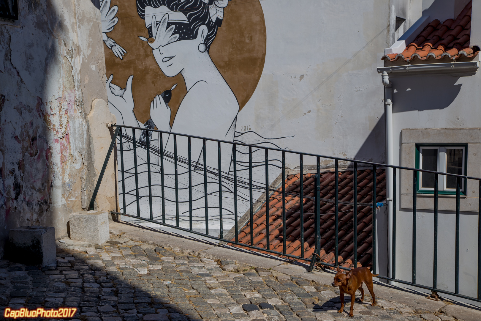 Kleiner Wächter der Alfama in Lisboa