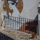 Kleiner Wächter der Alfama in Lisboa