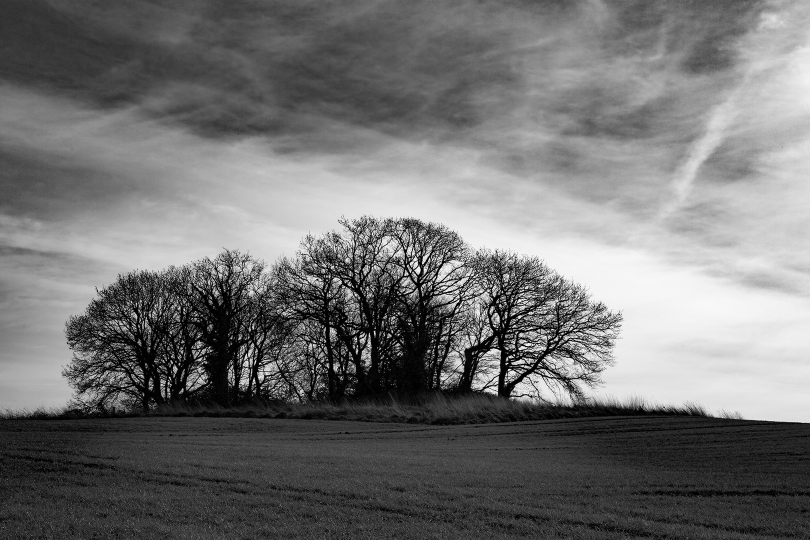 kleiner Wald