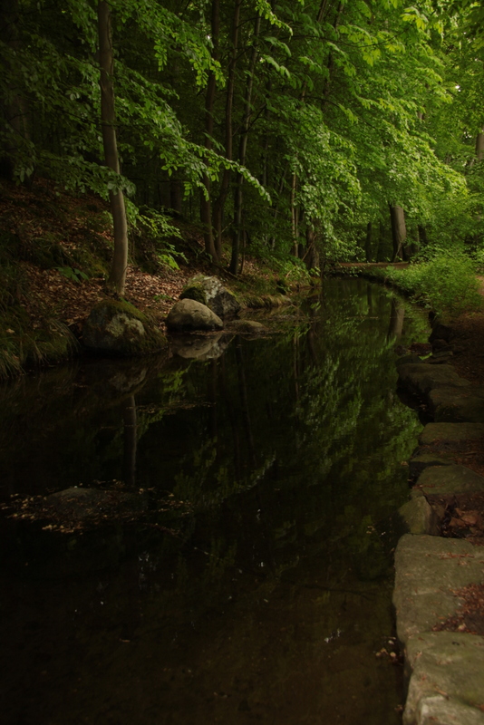 Kleiner Waldbach