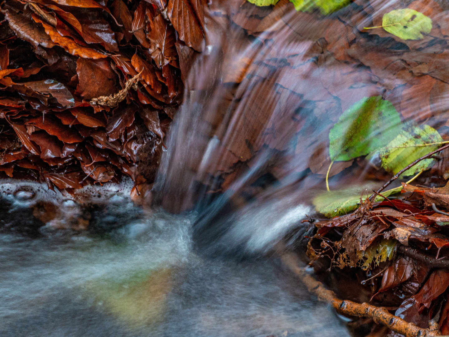 Kleiner Waldbach