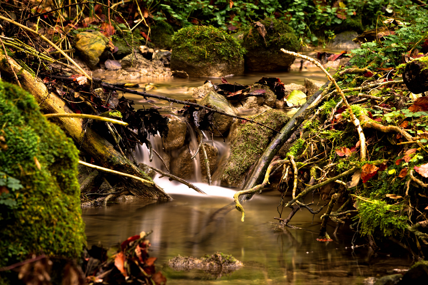 Kleiner Waldbach