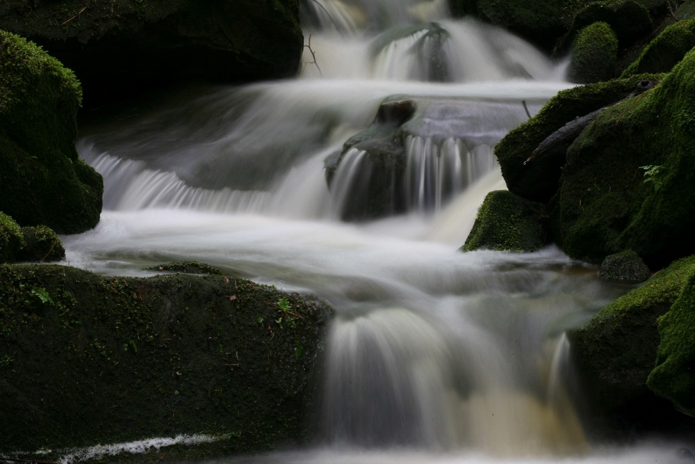 kleiner Waldbach im Odenwald