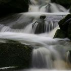 kleiner Waldbach im Odenwald