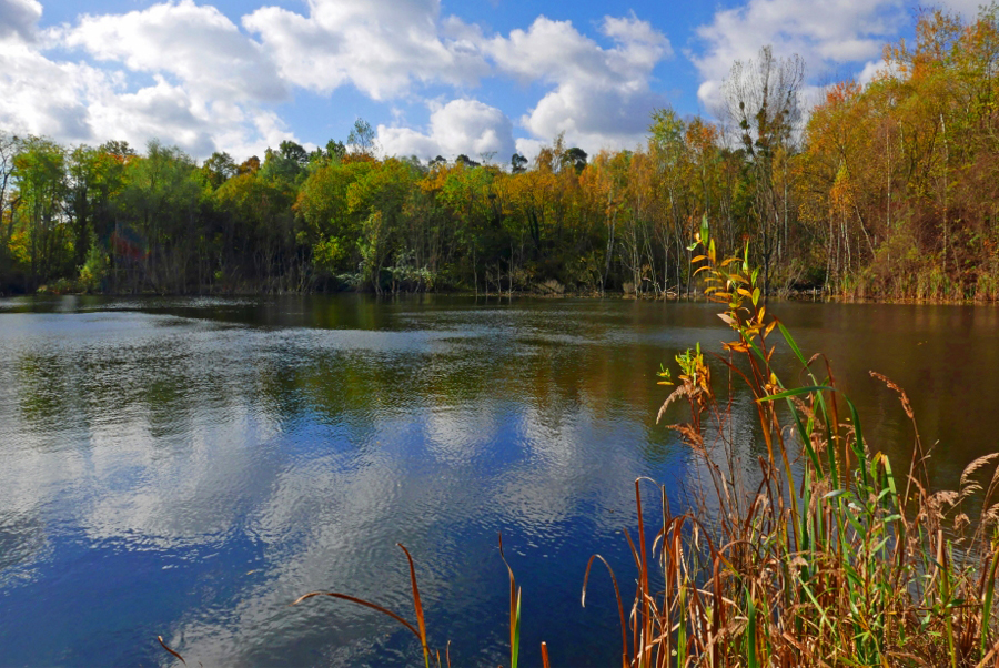 Kleiner Waldsee