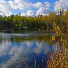 Kleiner Waldsee