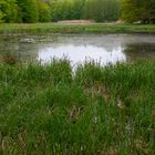 Kleiner Waldsee