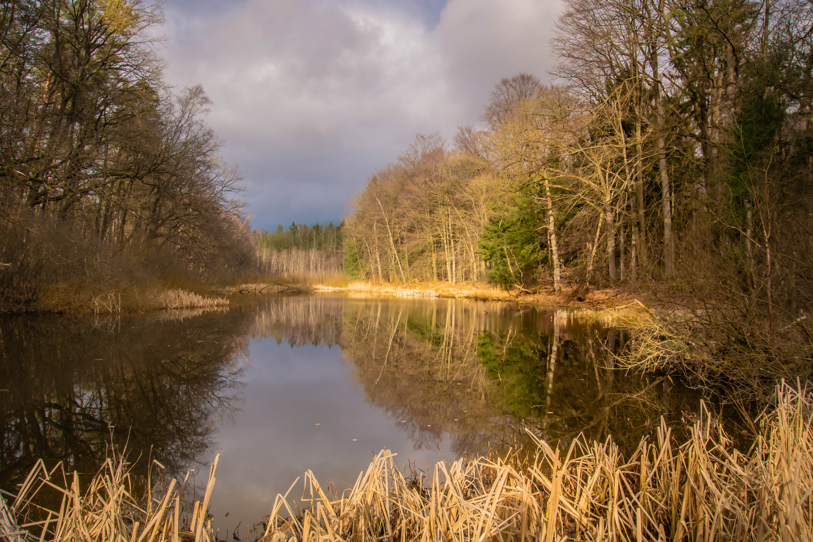 Kleiner Waldsee Foto &amp; Bild | natur, see, landschaft Bilder auf ...