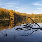 kleiner Waldsee