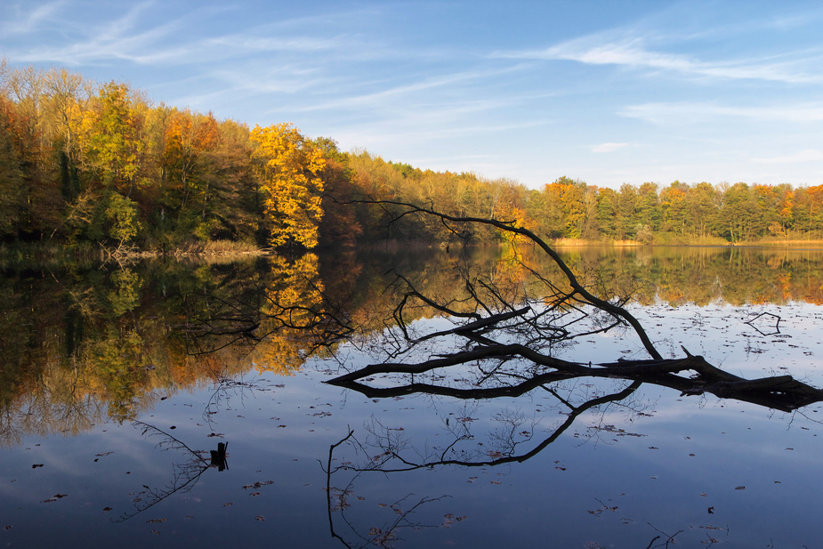 kleiner Waldsee