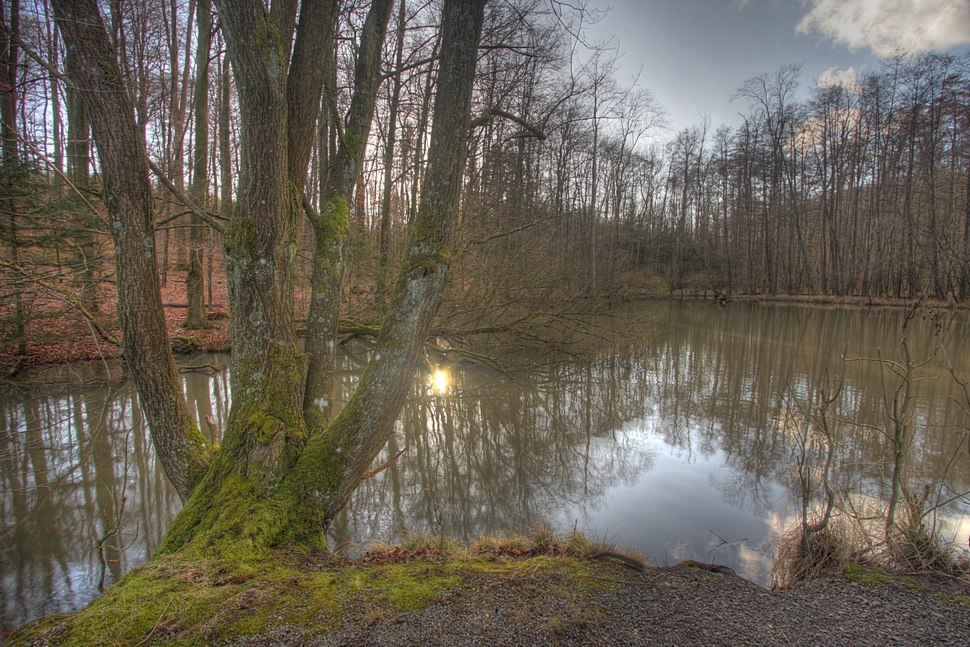 kleiner Waldsee