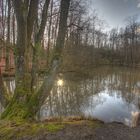 kleiner Waldsee