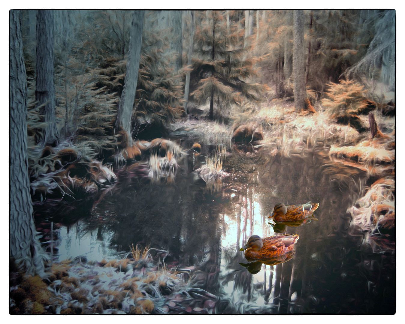 Kleiner Waldsee