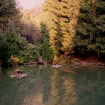 kleiner waldsee