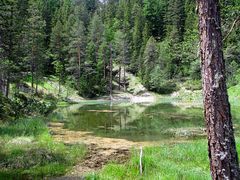 Kleiner Waldsee in den Dolomiten