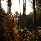 Kleiner Waldspaziergang