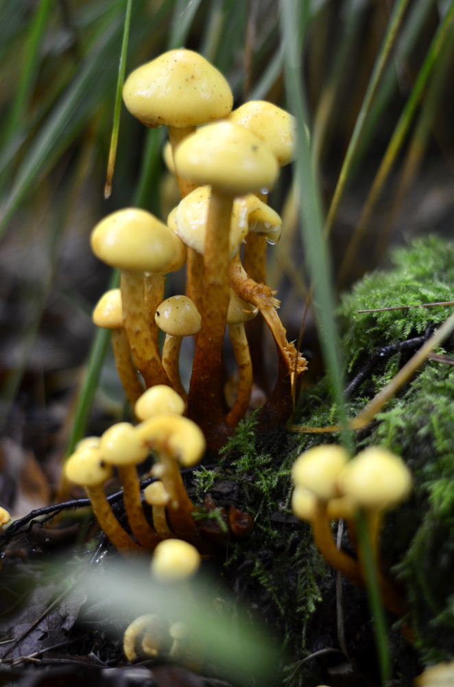 Kleiner Waldspaziergang