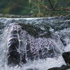 Kleiner Wasserfall