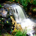 Kleiner Wasserfall