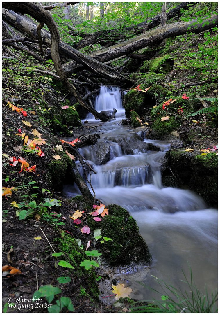 --- Kleiner Wasserfall ----