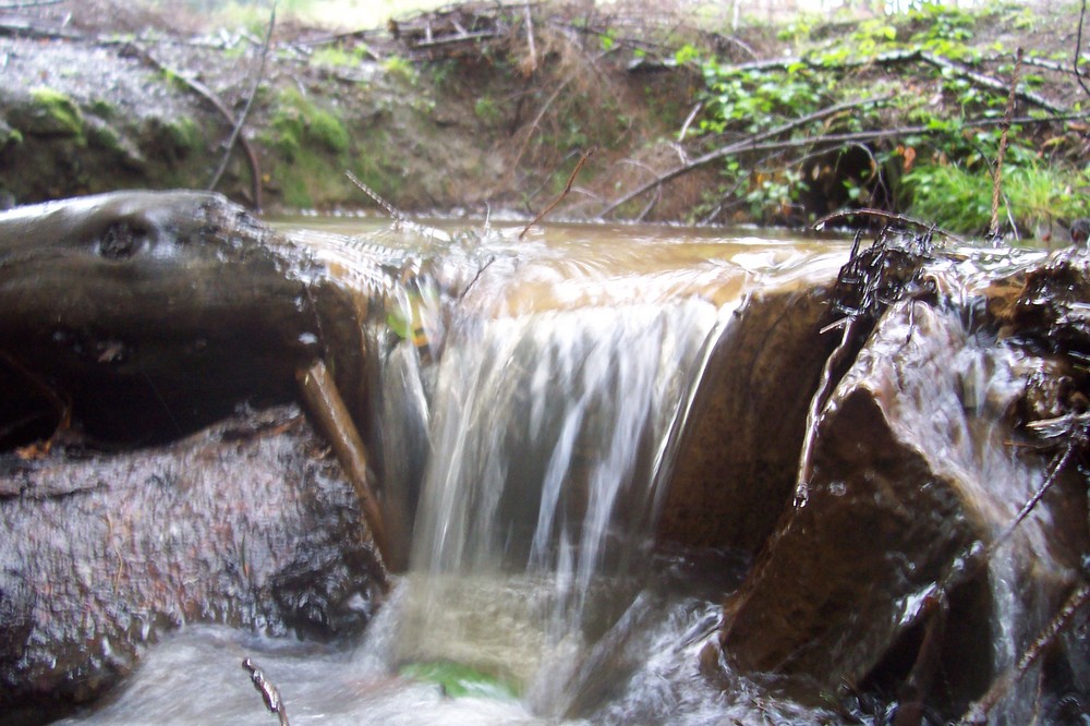 Kleiner Wasserfall