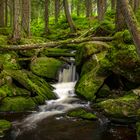 Kleiner Wasserfall