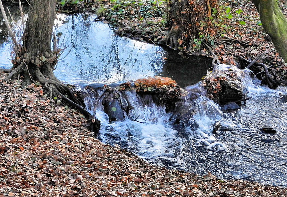 Kleiner Wasserfall am Bach