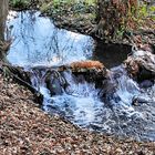 Kleiner Wasserfall am Bach