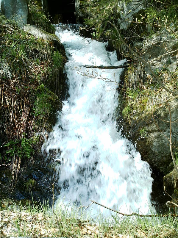 kleiner Wasserfall am Feldberg