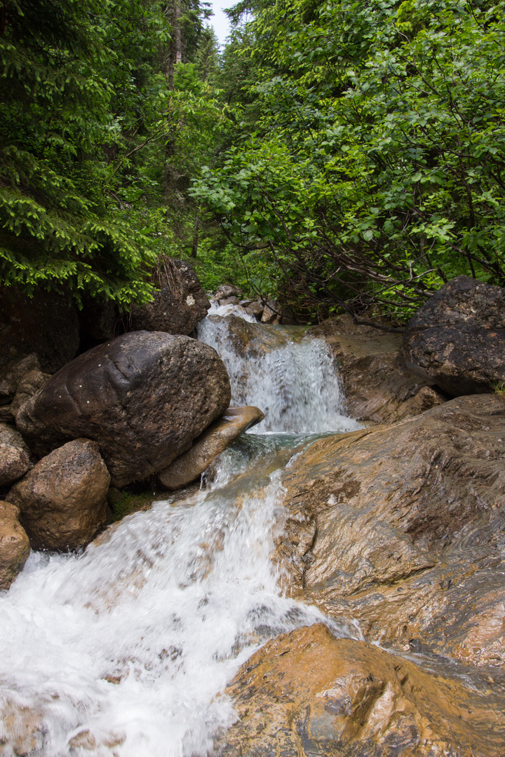 Kleiner Wasserfall am Großen Widderstein