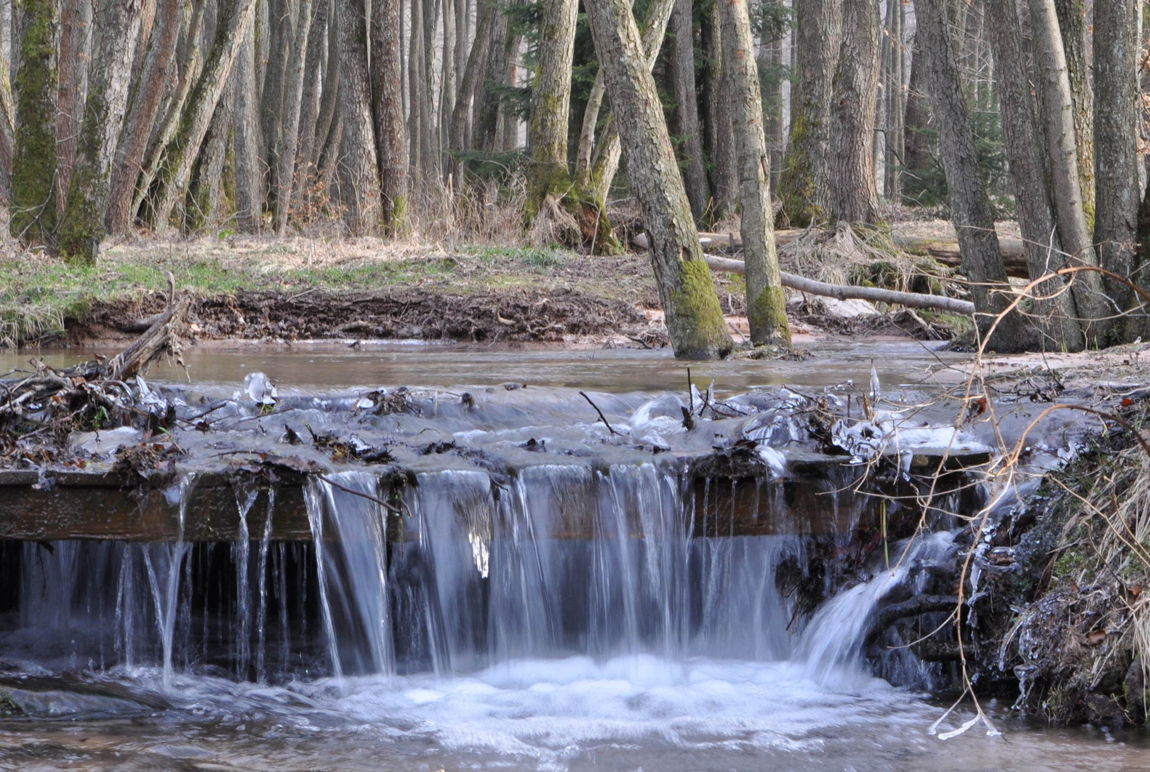 Kleiner Wasserfall am Hirschbornteich