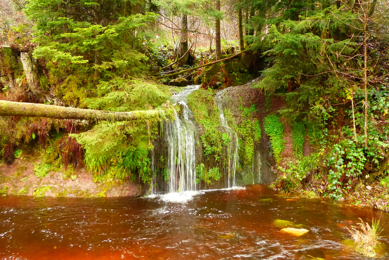 kleiner Wasserfall  am Tonbach