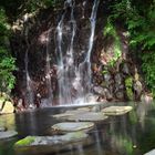 Kleiner Wasserfall