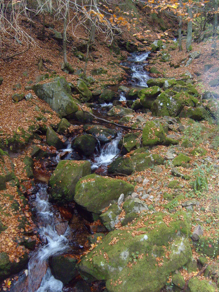 Kleiner Wasserfall bei St. Blasien