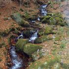 Kleiner Wasserfall bei St. Blasien